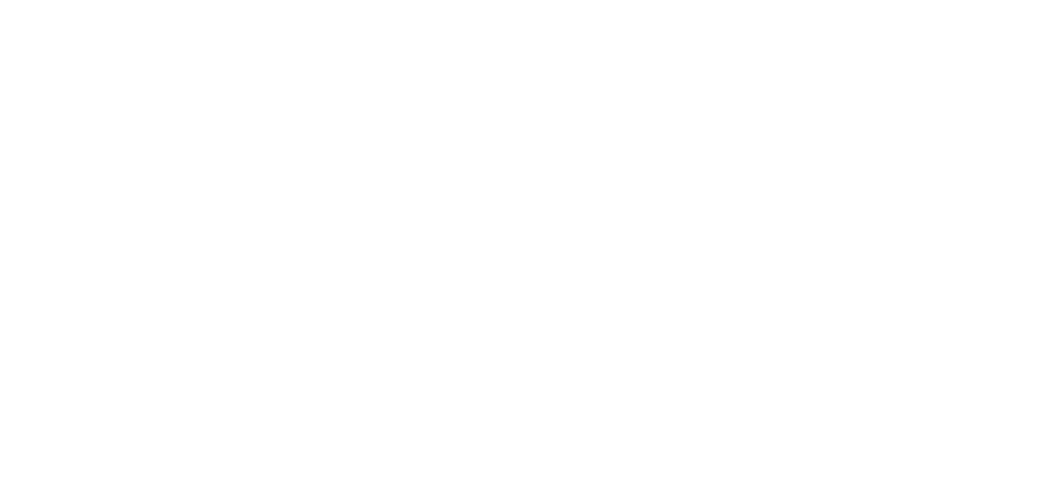 Logo Seiko