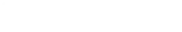 Logo Seiko